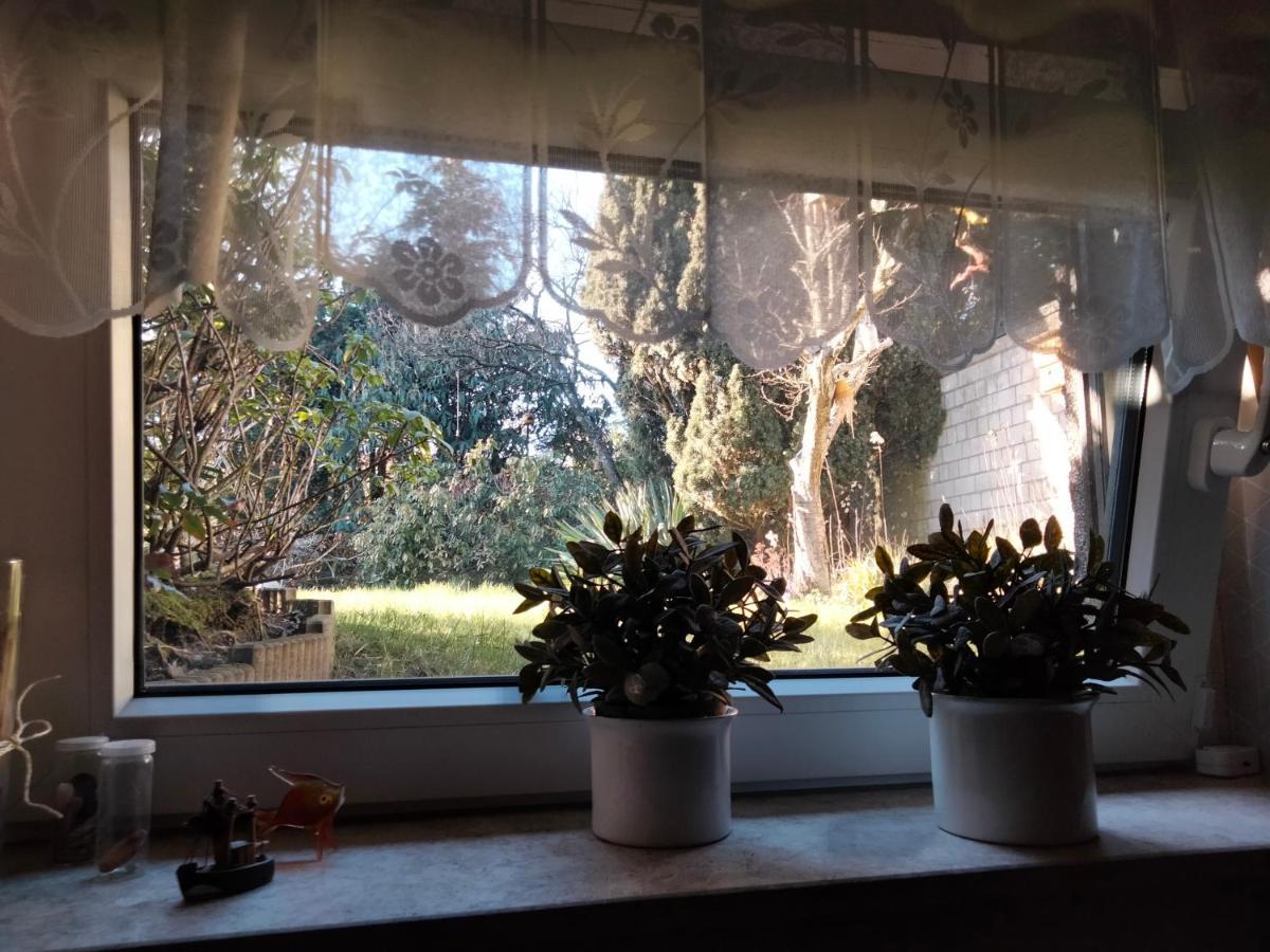 Ferienwohnung Coco Haltern Εξωτερικό φωτογραφία
